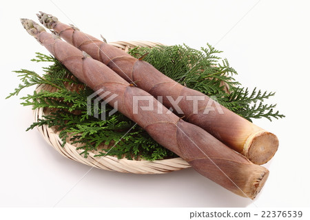 竹筍竹筍 22376539