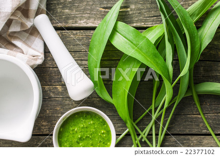 Fresh ramsons leaves. Fresh ramsons leaves. 22377102