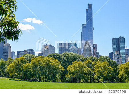 view from the Central Park lawn 22379596
