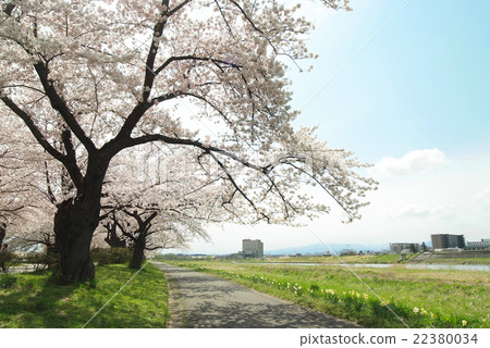 展覽冠軍區 22380034