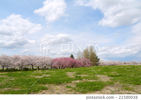 展覽冠軍區 22380038