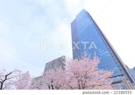 Cherry blossoms and skyscrapers and blue sky 22380555