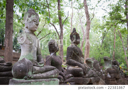 buddha statue in wat umong, chiang mai 22381867