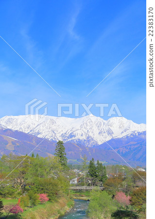 信州·長野縣白馬北阿拉斯和櫻花的風景 22383170