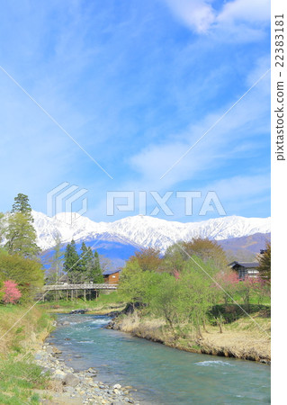 信州·長野縣白馬北阿拉斯和櫻花的風景 22383181