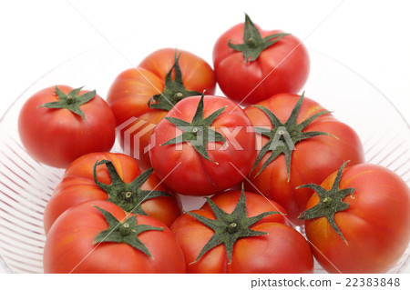 Tomato Tomato 22383848