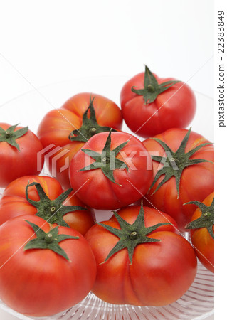 Tomato Tomato 22383849