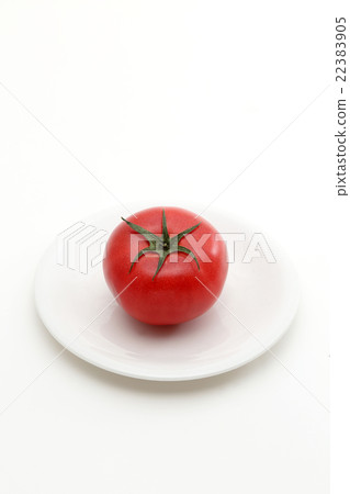 Tomato Tomato 22383905