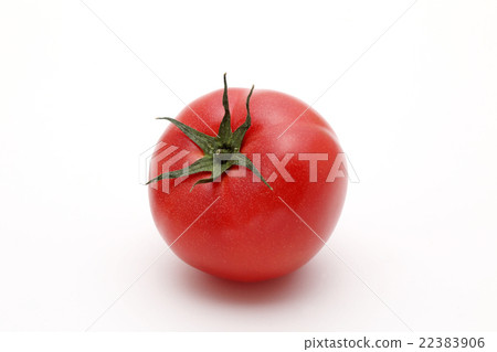 Tomato   22383906
