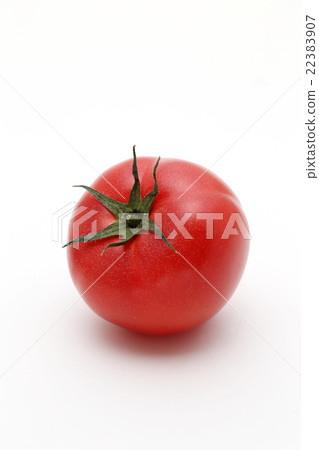 Tomato Tomato 22383907