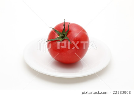 Tomato Tomato 22383908