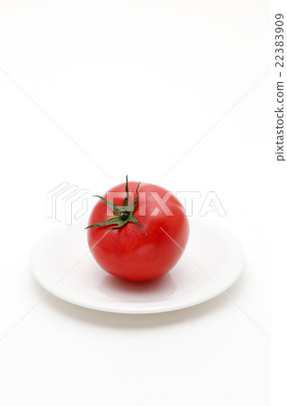 Tomato Tomato 22383909