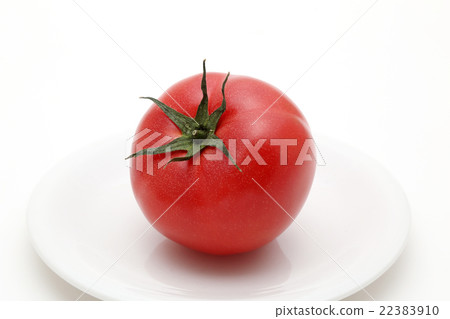 Tomato Tomato 22383910