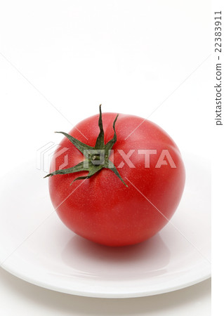 蕃茄 蕃茄 22383911