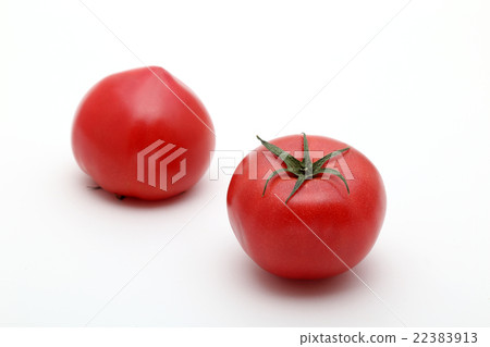 Tomato Tomato 22383913