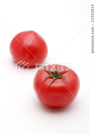 Tomato Tomato 22383914