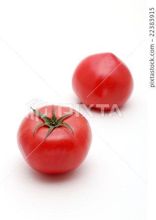 蕃茄 蕃茄 22383915