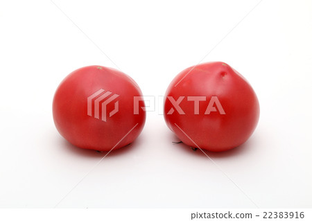 蕃茄 蕃茄 22383916