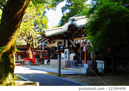 在Yukuhashi的Imai Tsu Susa Shrine和Otono Shrine 22384496