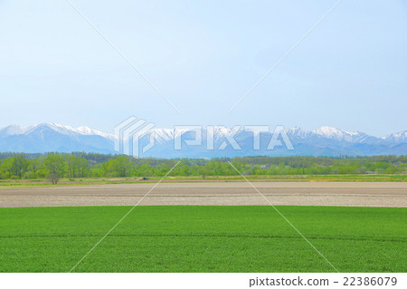 北海道十勝的風景 22386079