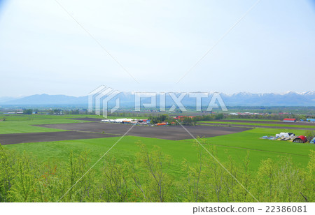 北海道十勝的風景 22386081