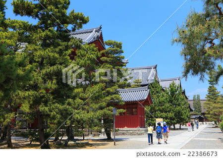 Myoshinji寺 22386673