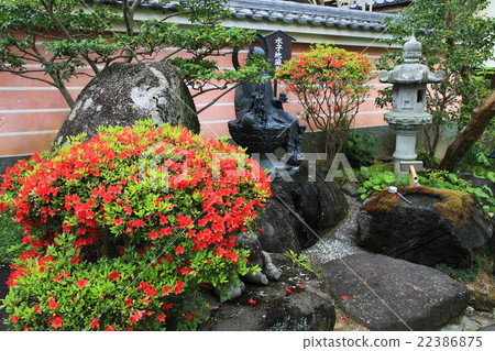 瑪雅吉春天花園的寺廟 22386875