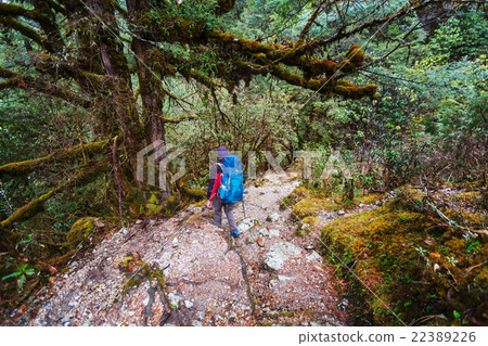 Hike in Nepal jungle Hike in Nepal jungle 22389226