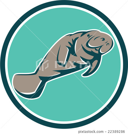 Manatee Sea Cow Circle Retro 22389286