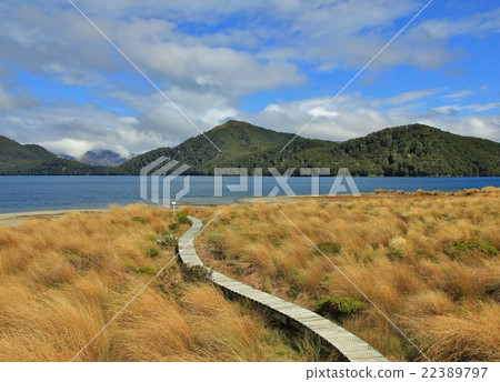 Landscape in the Fjordland National Park 22389797