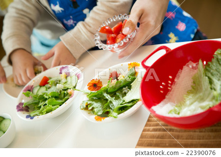 Infant food / parent / child salad 22390076