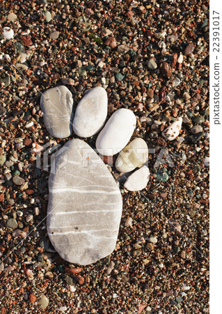 The stone foot 22391017