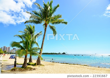 夏威夷的假期 22391667