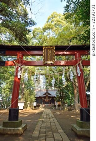 我的Numata稻田:冰川婦女的神社 我的Numata稻田:冰川婦女的神社 22391731