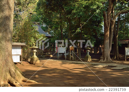 我的數字場：冰川婦女的身體神殿Pref。 22391739