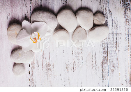 Orchid spa concept Orchid spa concept 22391856