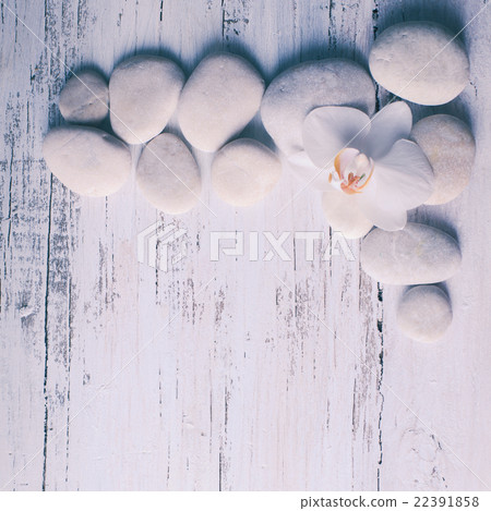 Orchid spa concept Orchid spa concept 22391858