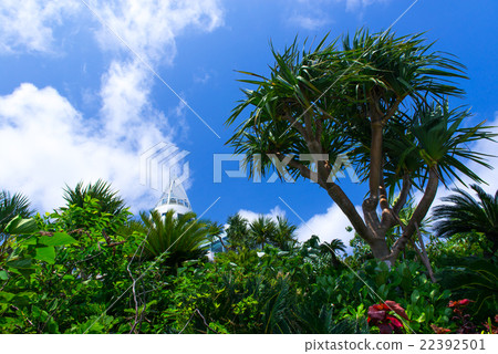 Koryu Island island Ocean Tower 22392501