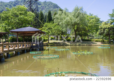 Minami-Echizen-cho霍爾公園的花 Minami-Echizen-cho霍爾公園的花 22392696