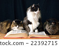 Nekachachi和書籍7 22392715