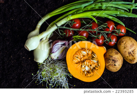 fresh organic vegetables fresh organic vegetables 22393285