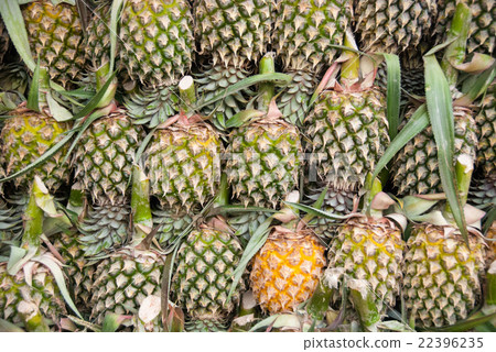 Pineapple Background 22396235