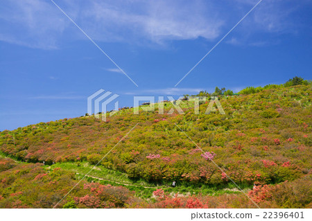 Yamato Katsuragiyama 22396401