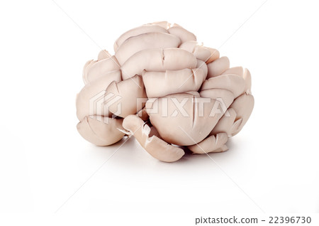 Oyster fresh mushrooms  22396730