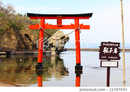 Turtle Sea Turtle 3 22397043