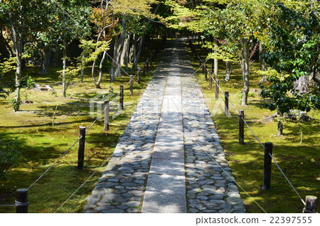 Kao's garden (Sagaokitabori-cho, Kamigyo-ku, Kyoto City) Kao's garden (Sagaokitabori-cho, Kamigyo-ku, Kyoto City) 22397555