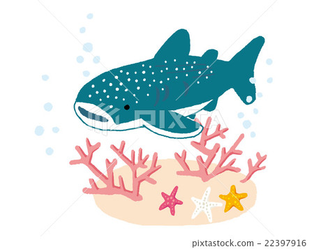 Whale shark Whale shark 22397916