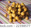 Longan 22398577