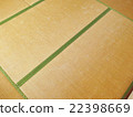 榻榻米 22398669