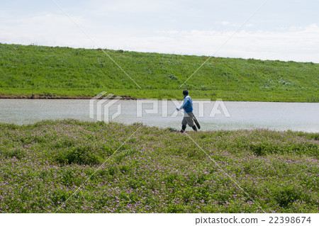 A farmer walking along the elephant path, a red-fronted field A farmer walking along the elephant path, a red-fronted field 22398674